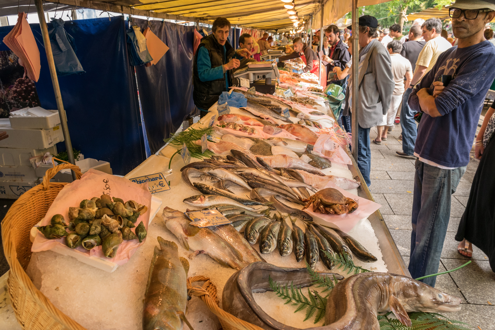 The mid-morning sun is already beginning to fall on this display of fresh fish on ice