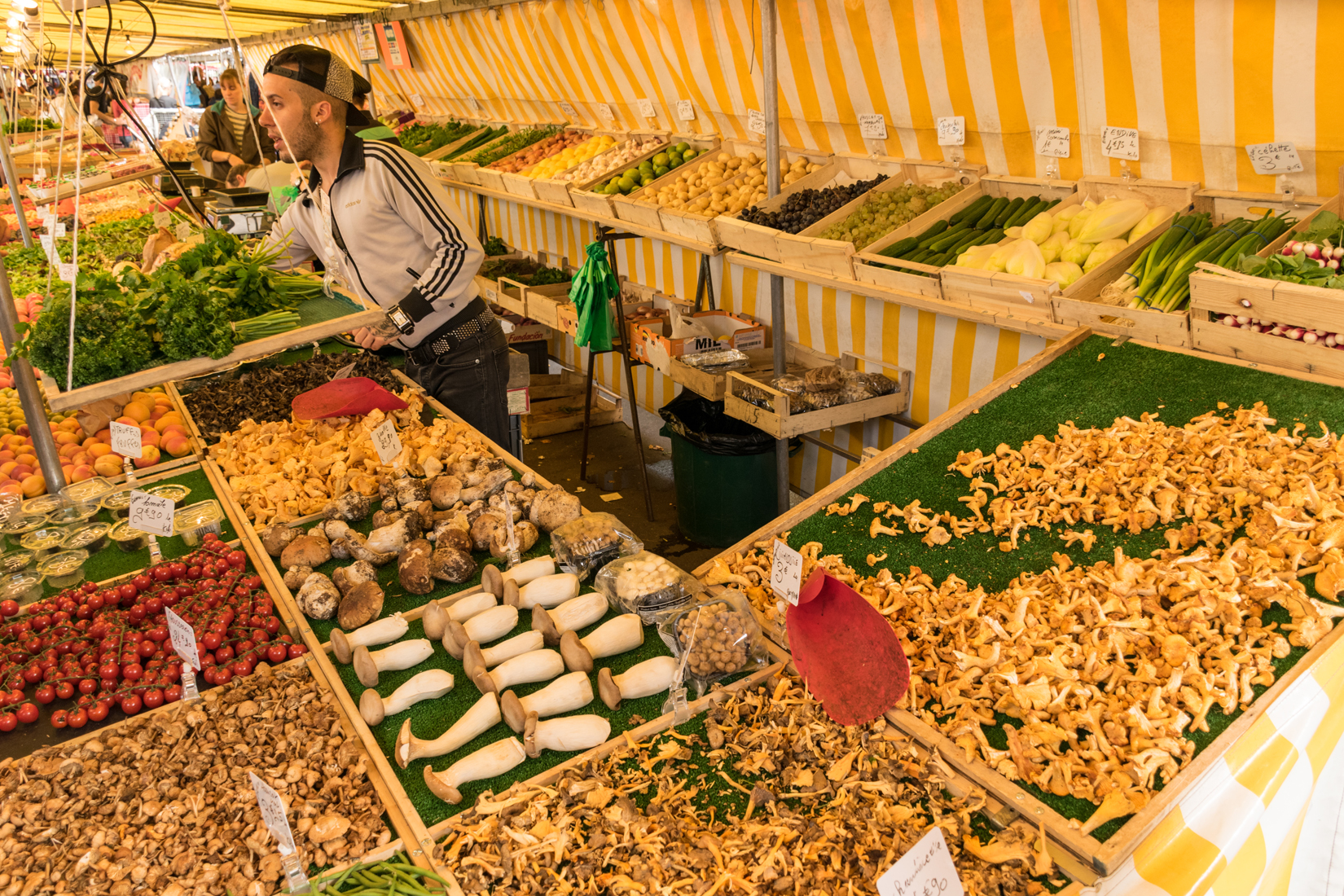 Wide variety of exotic mushrooms, fruit and vegetables Wide variety of exotic mushrooms, fruit and vegetables