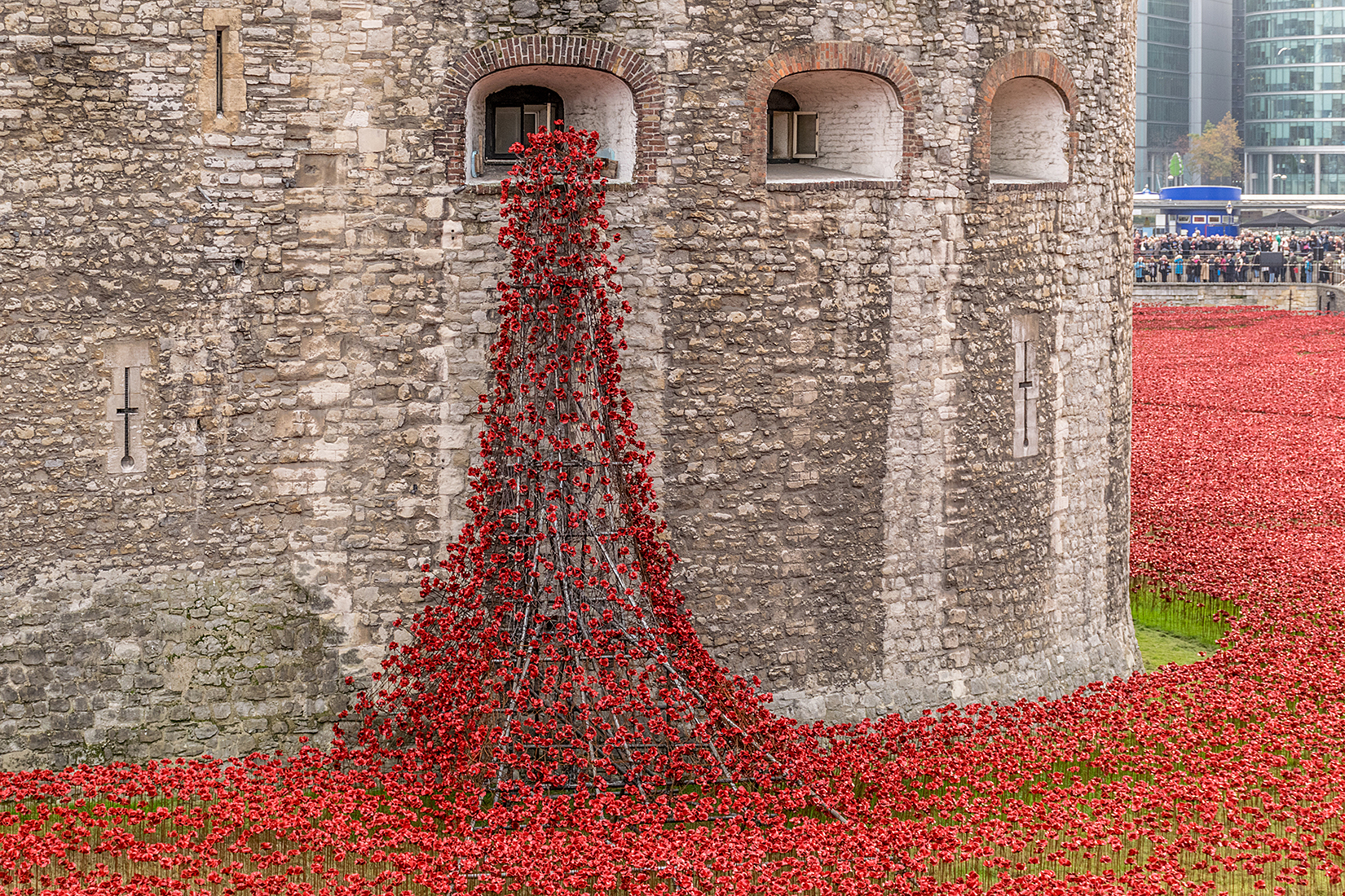 The 'Weeping Window' with poppies pouring from a window of the Tower