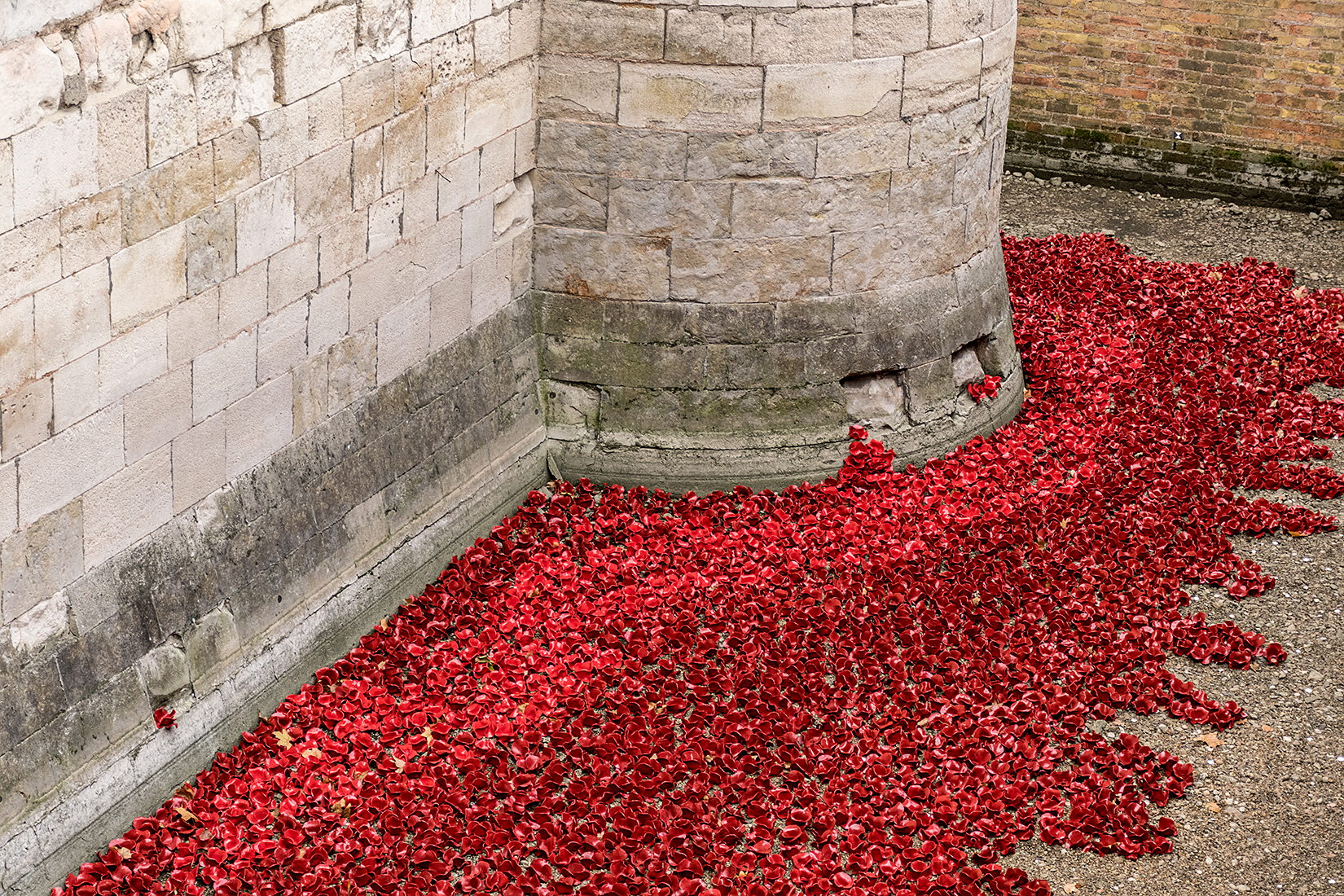 Poignant detail of the poppies at the south east corner