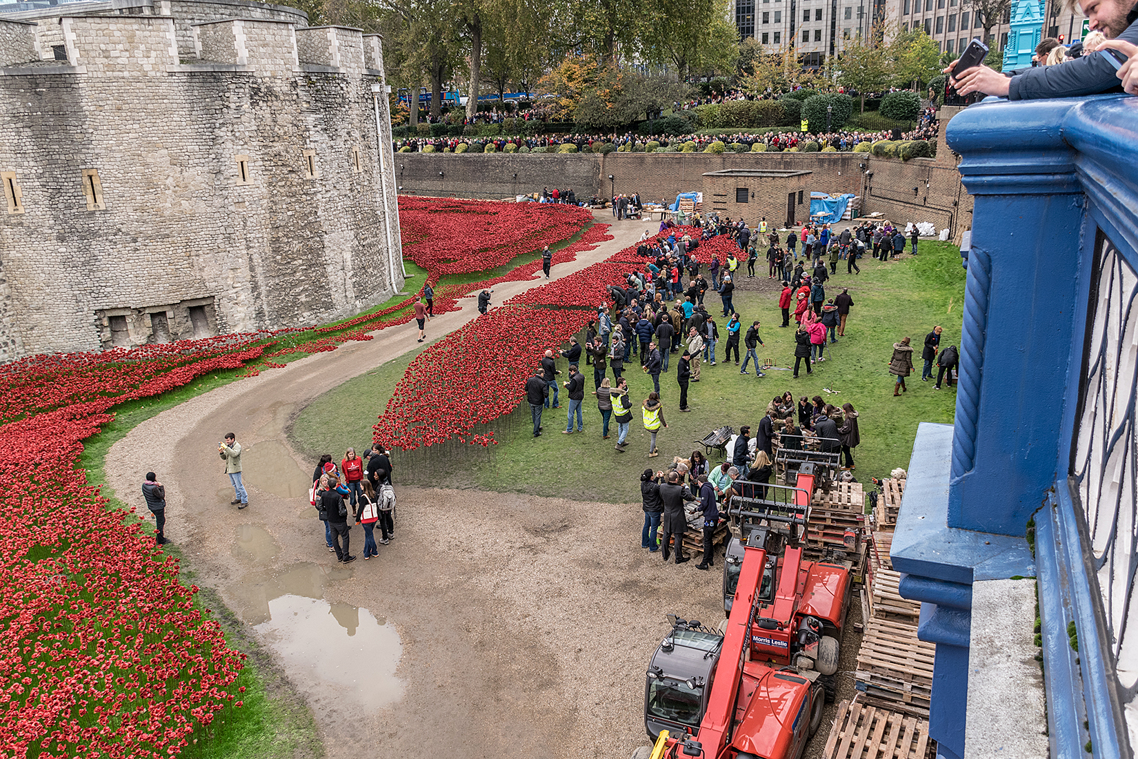 Final poppies being assembled and placed in the installation
