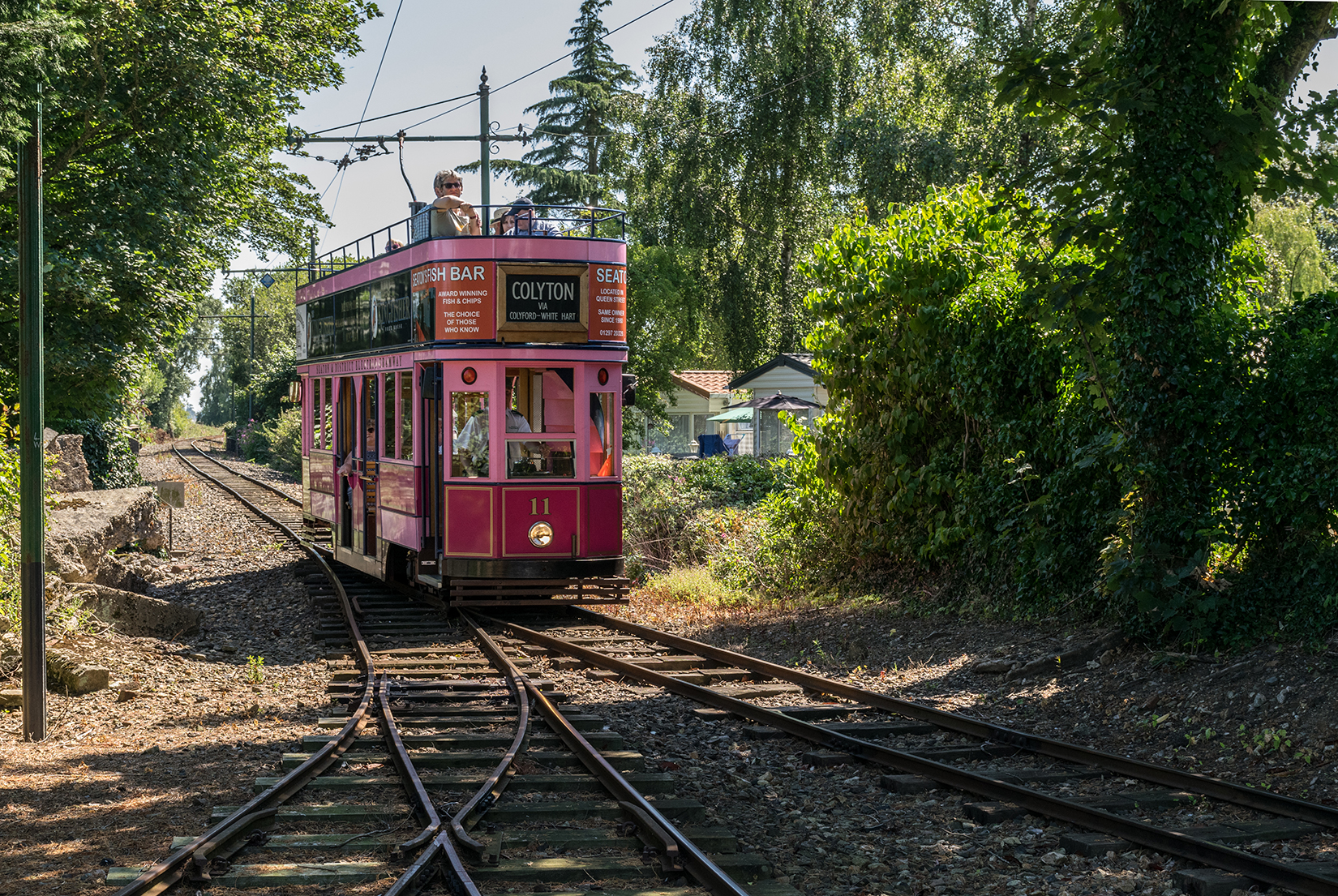 Car 11 - the so-called 'pink tram' - pulling into Colyford halt