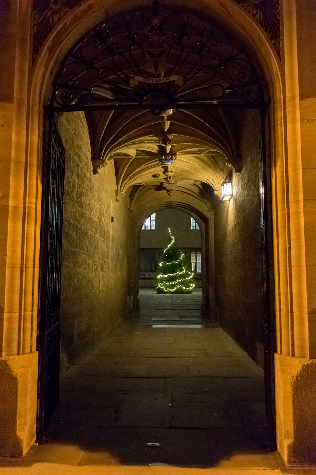 Christmas at the Bodleian Library