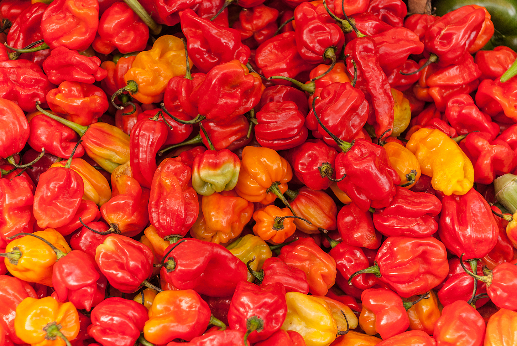 Red and yellow chillies