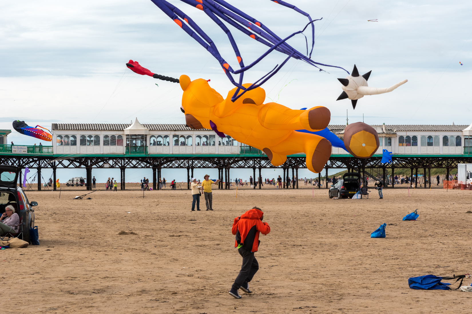 The prevailing westerley wind presented the kites in probably the best way possible.