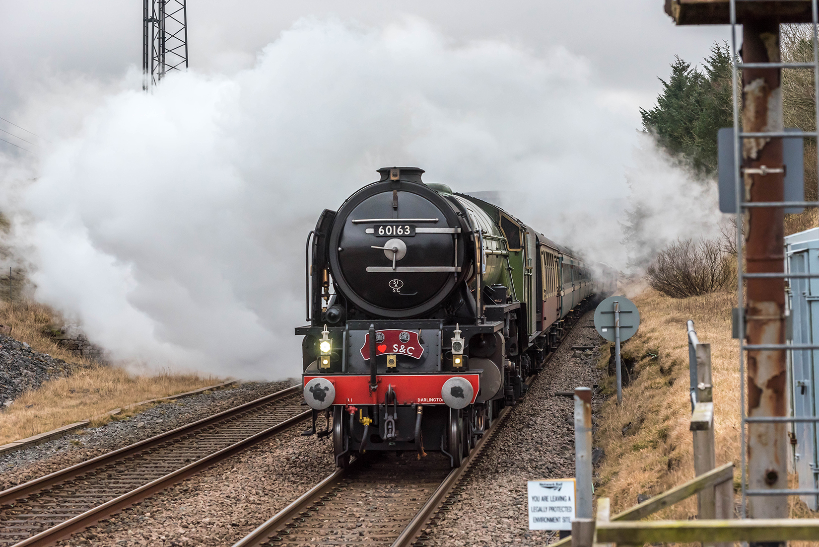 60163 Tornado storms up to Ribblehead Station. 60163 Tornado storms up to Ribblehead Station.