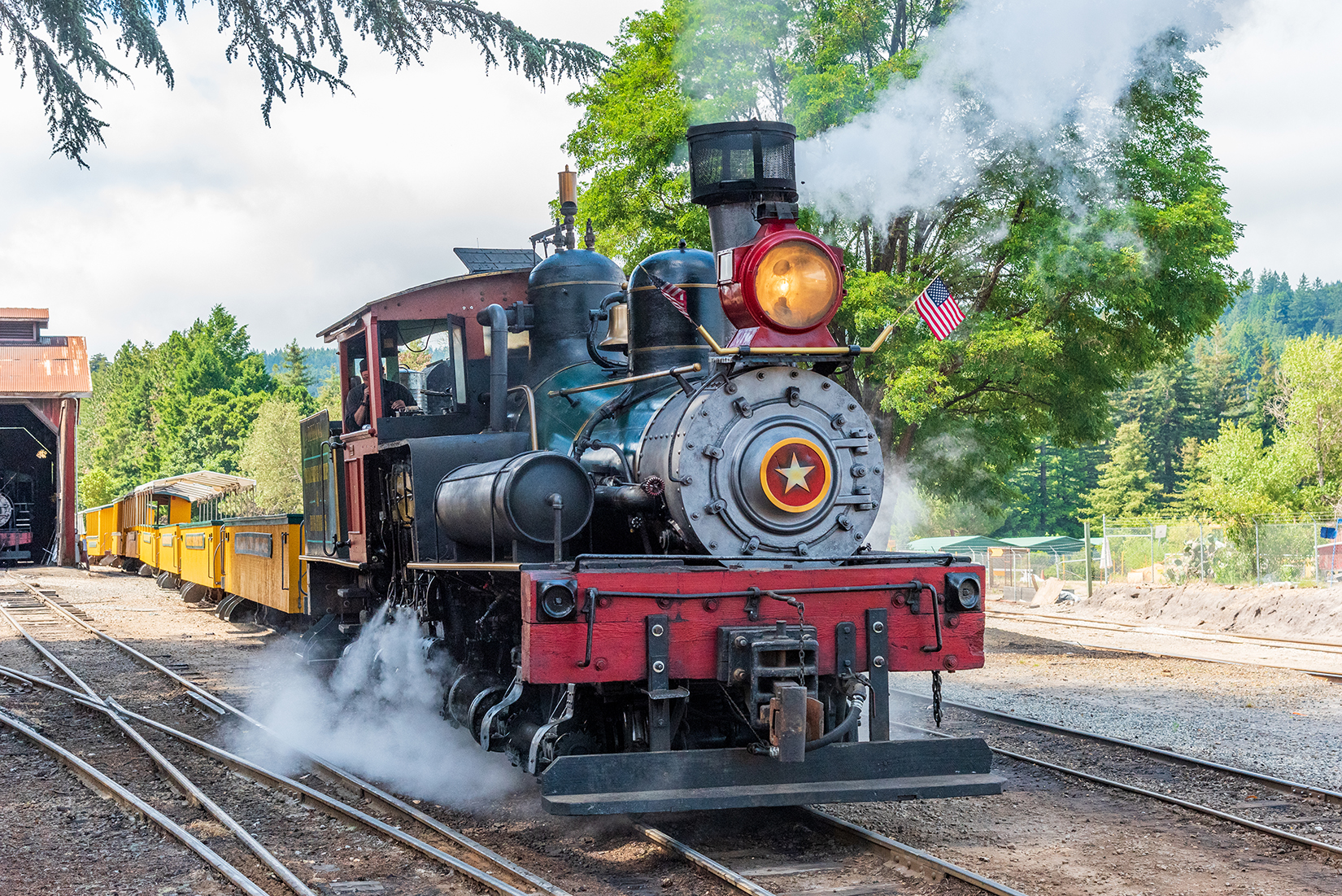 Loco number 1 shunting passenger stock in Felton yard