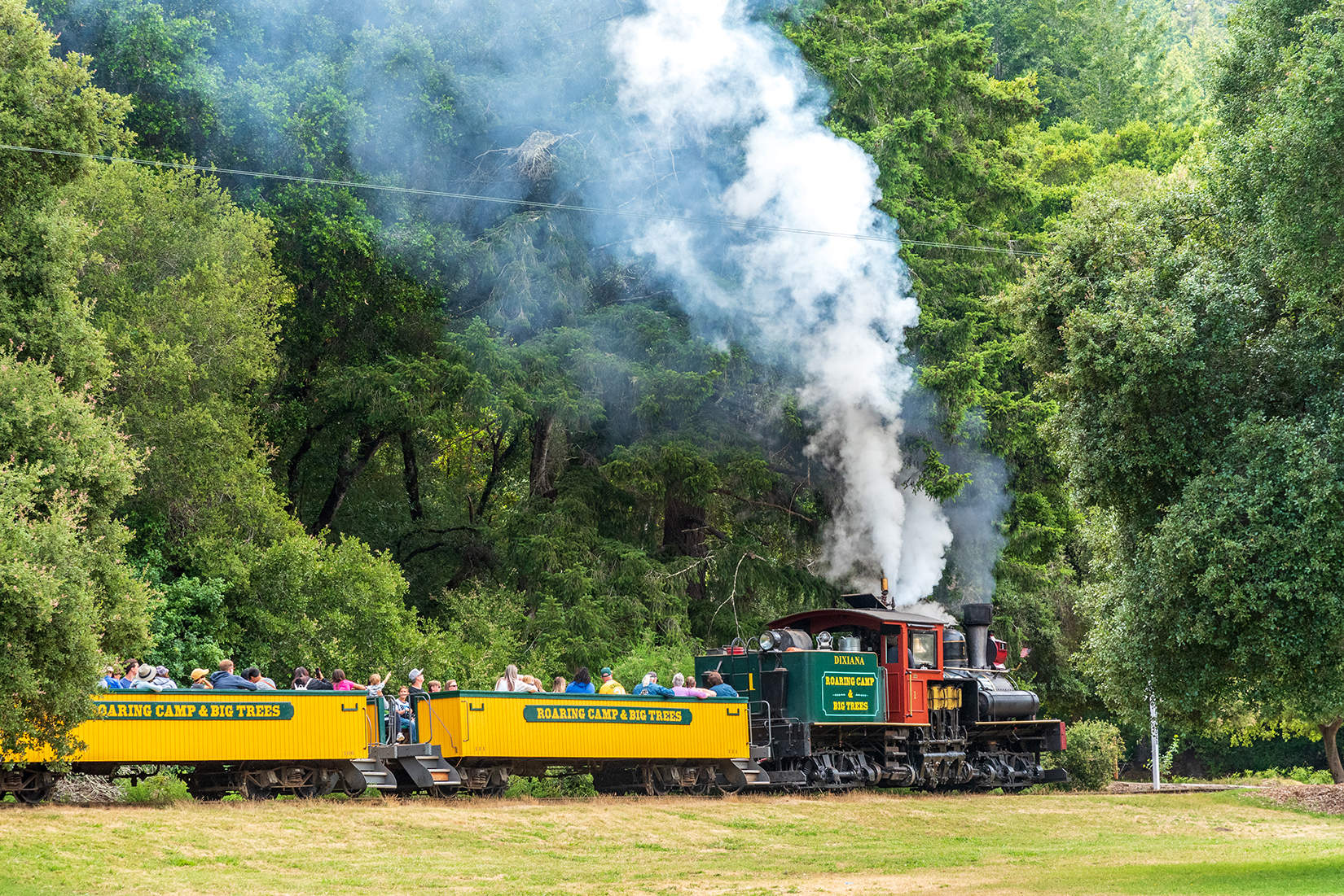 Loco number 1 'Dixiana', heading of into the redwoods forest.