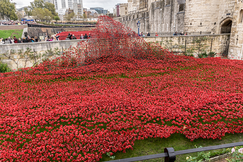 Link to 'Blood Swept Lands and Seas of Red'